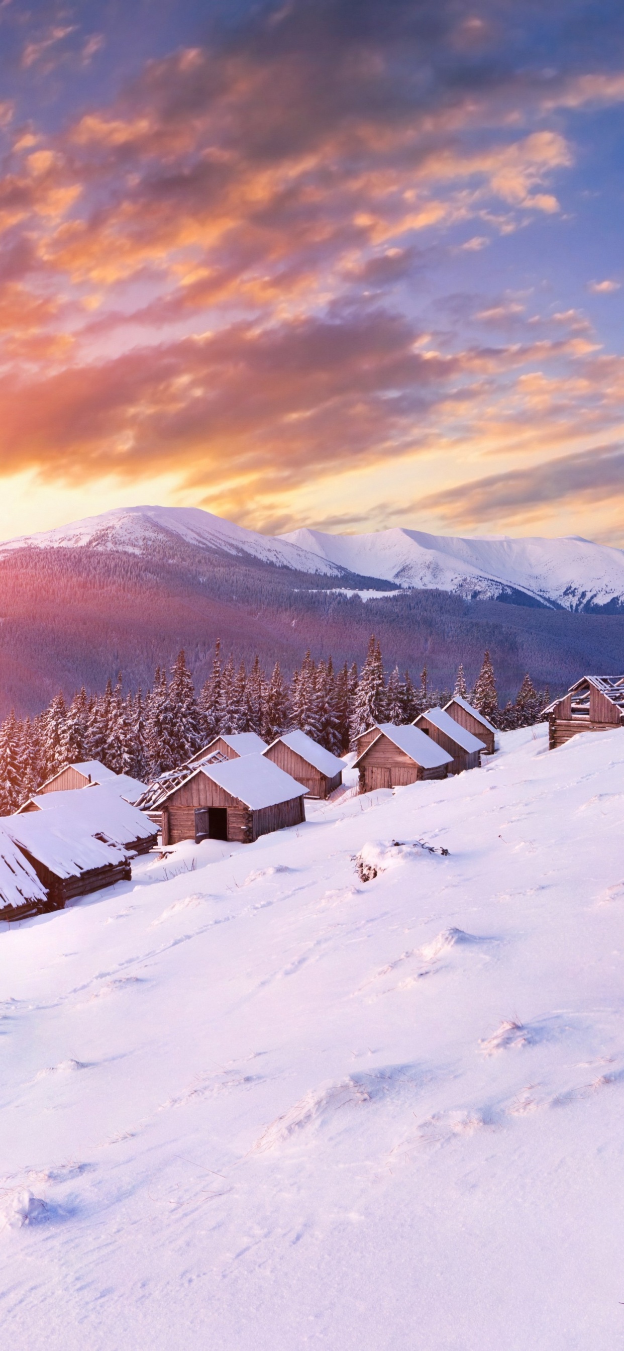 Campo Cubierto de Nieve Bajo el Cielo Nublado Durante el Día. Wallpaper in 1242x2688 Resolution
