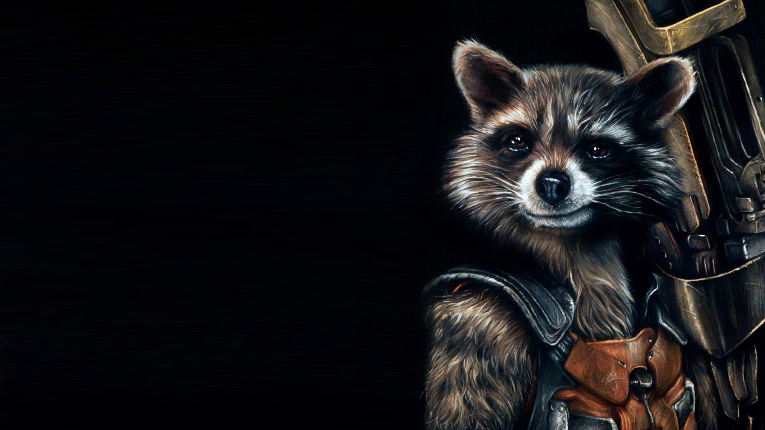 Chaton en Fourrure Noir et Blanc. Wallpaper in 2560x1440 Resolution