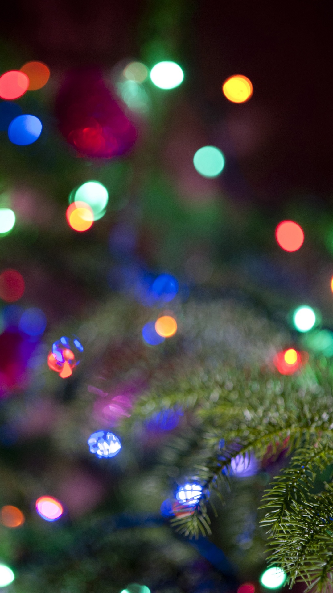 Green and Red Christmas Tree With String Lights. Wallpaper in 1080x1920 Resolution