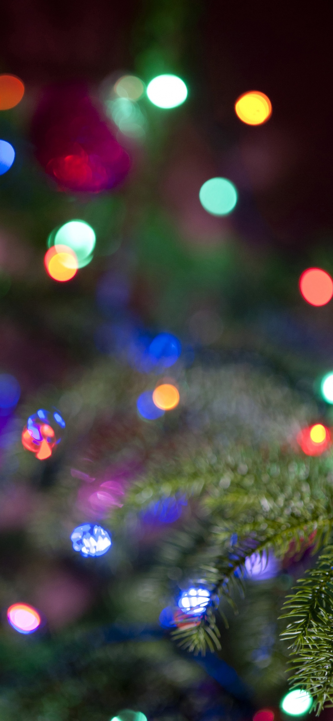 Green and Red Christmas Tree With String Lights. Wallpaper in 1125x2436 Resolution