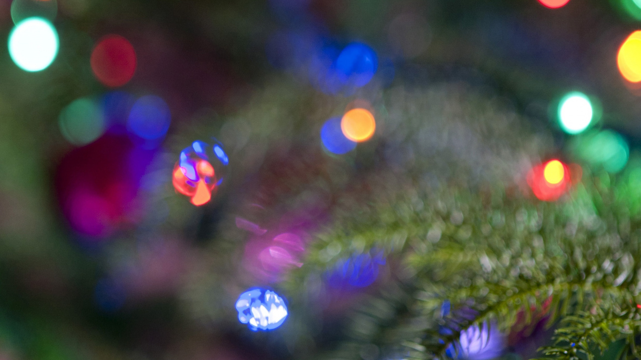 Green and Red Christmas Tree With String Lights. Wallpaper in 1280x720 Resolution