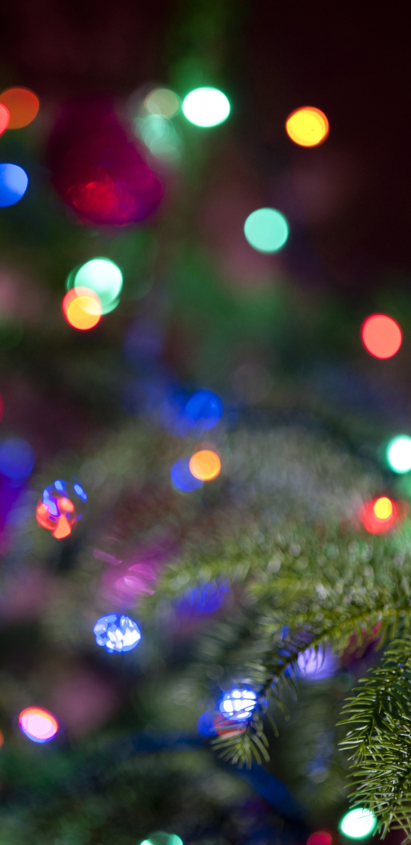 Green and Red Christmas Tree With String Lights. Wallpaper in 1440x2960 Resolution