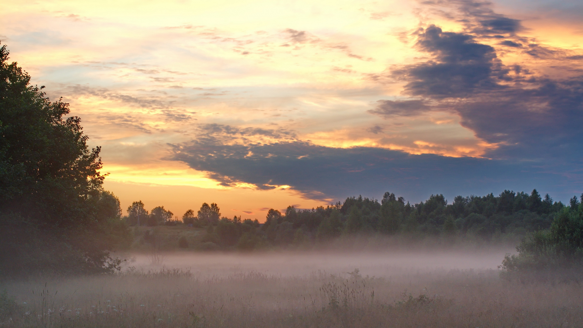 Champ D'herbe Verte Près du Plan D'eau Pendant le Coucher du Soleil. Wallpaper in 1920x1080 Resolution