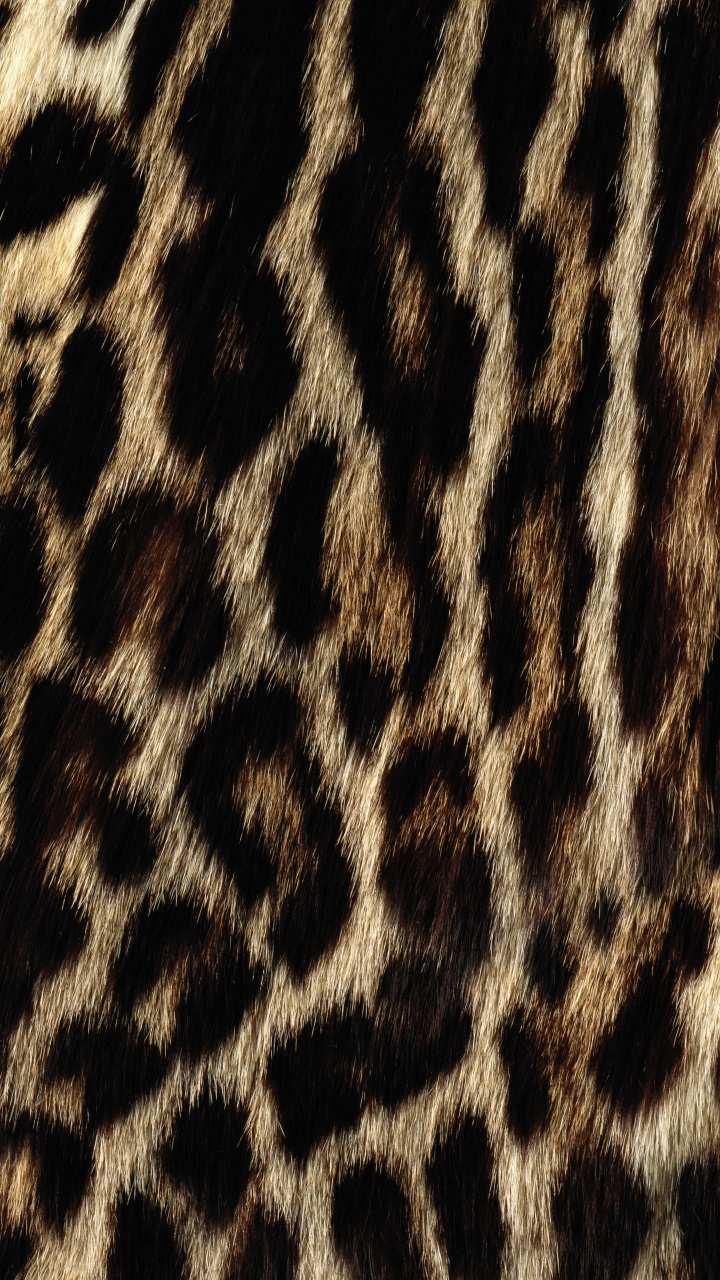 Textil de Leopardo Blanco y Negro. Wallpaper in 720x1280 Resolution