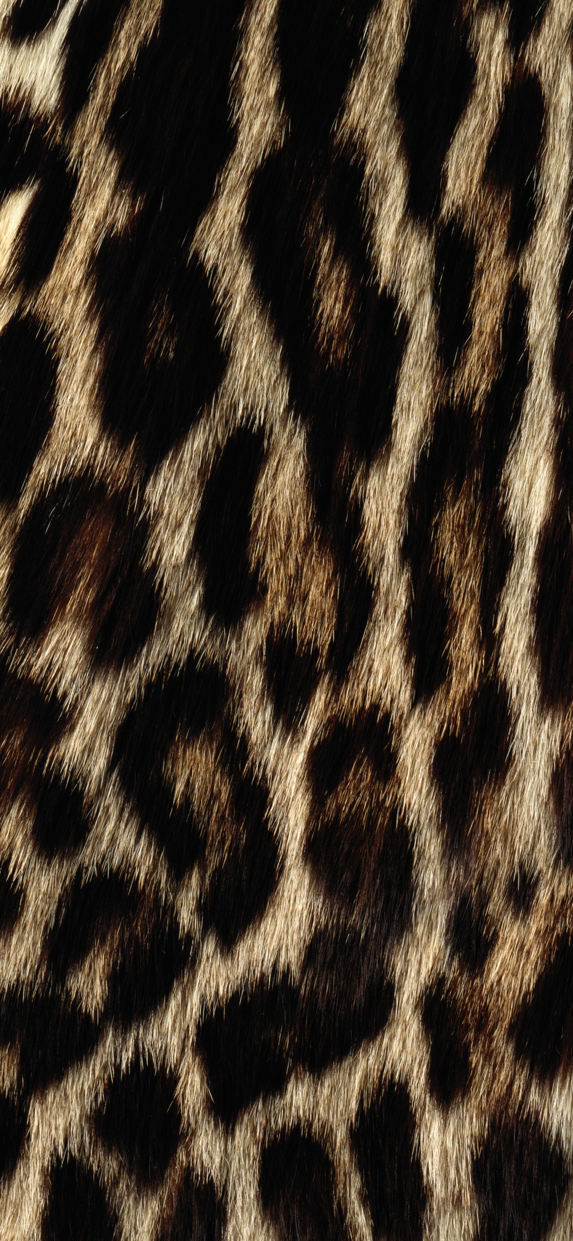 Black and White Leopard Textile. Wallpaper in 1125x2436 Resolution