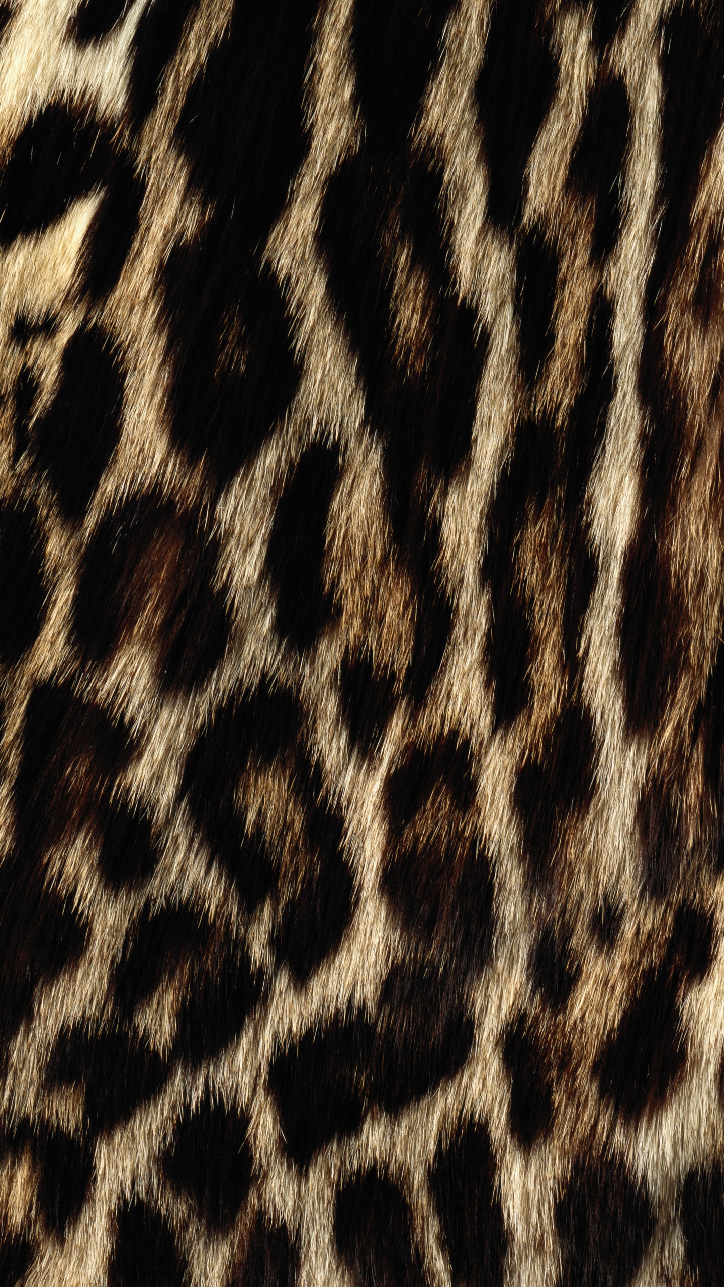 Black and White Leopard Textile. Wallpaper in 1440x2560 Resolution