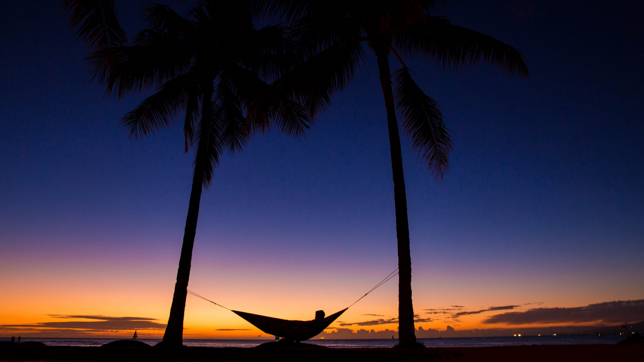 Coconut Tree Near Body of Water During Sunset. Wallpaper in 1280x720 Resolution