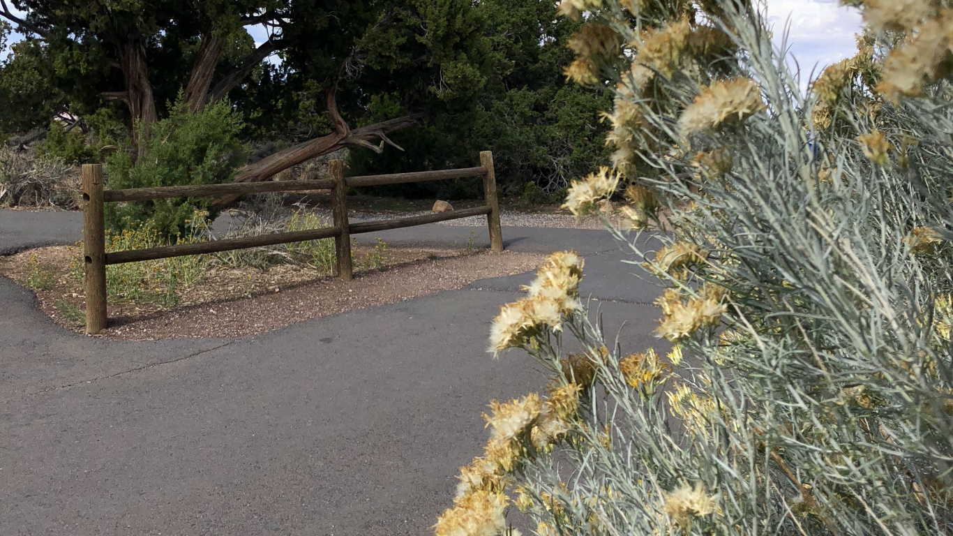植被, 植物群, 灌木, Subshrub, 积云 壁纸 1366x768 允许