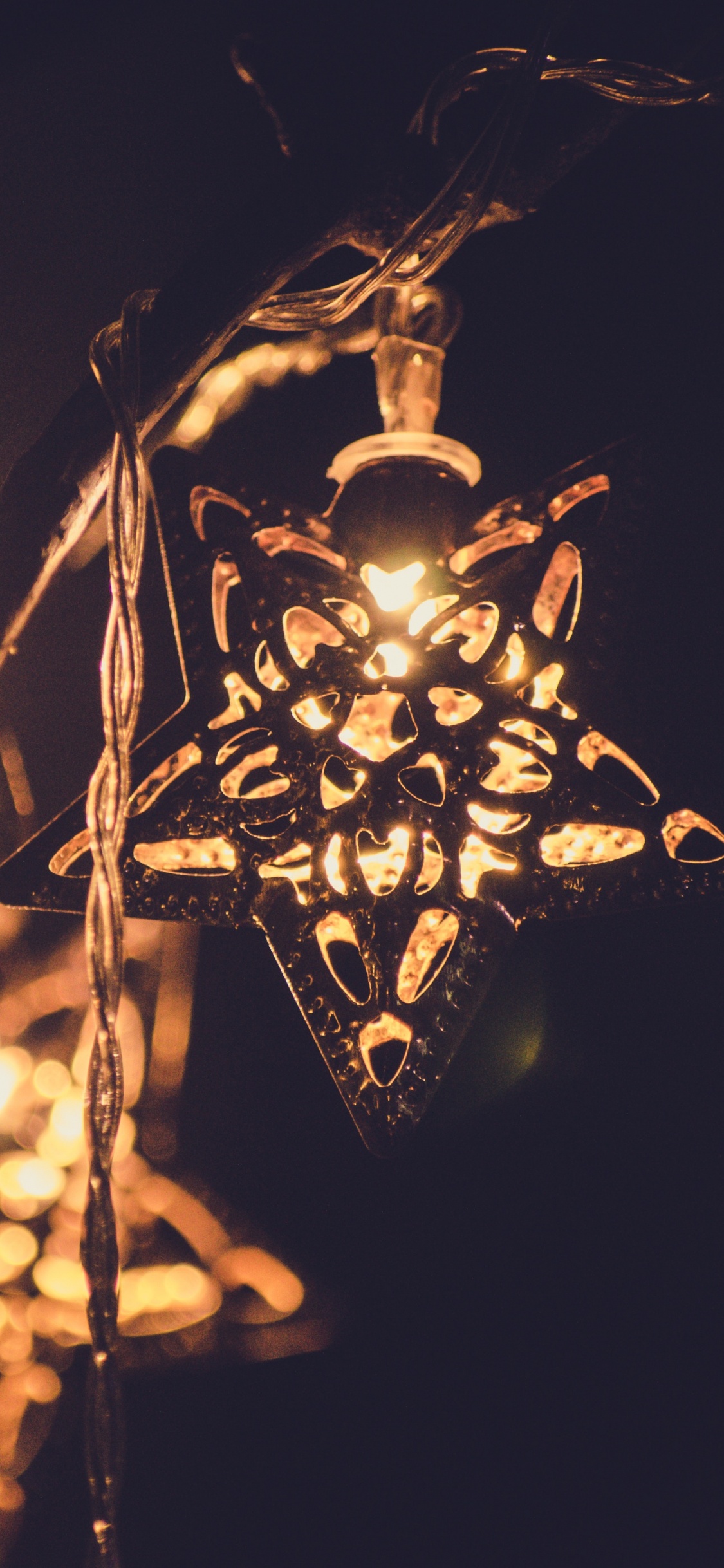 Black and White Floral Lantern. Wallpaper in 1125x2436 Resolution