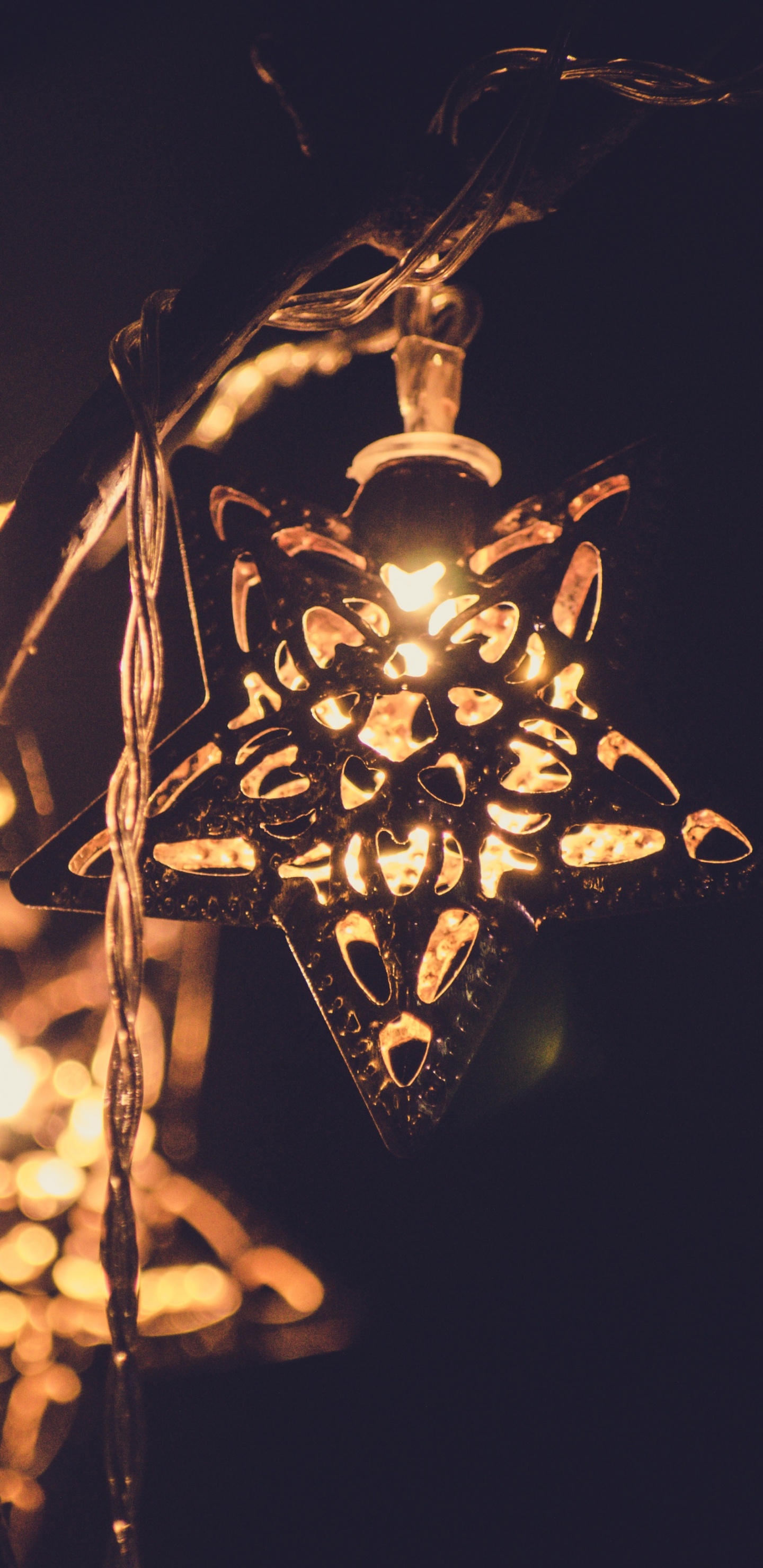 Black and White Floral Lantern. Wallpaper in 1440x2960 Resolution