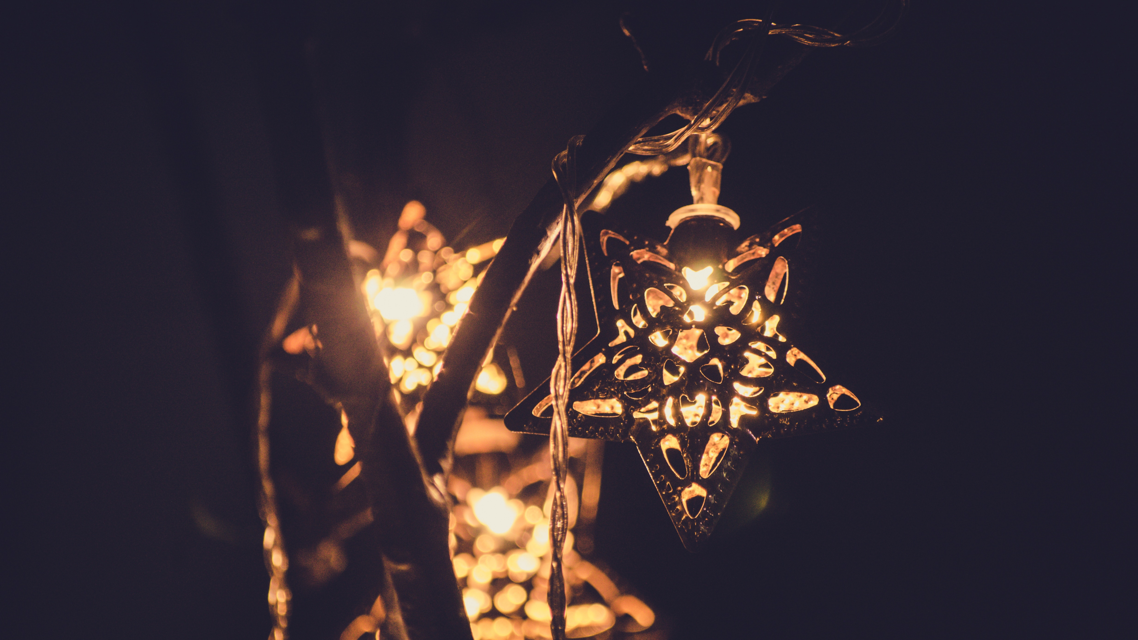 Black and White Floral Lantern. Wallpaper in 3840x2160 Resolution