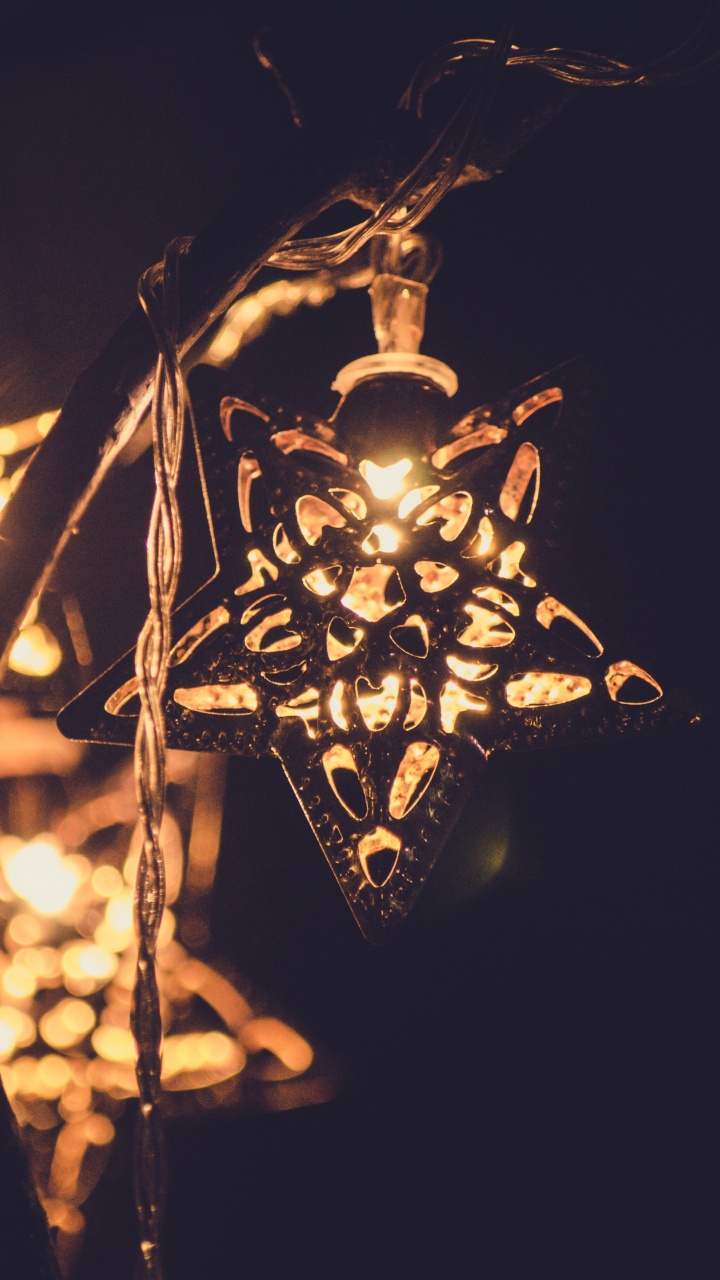 Black and White Floral Lantern. Wallpaper in 720x1280 Resolution