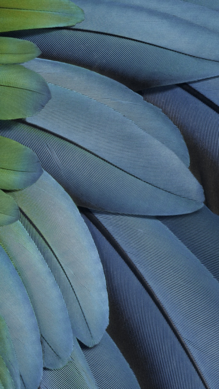 Pixel 7, Pixel Fold, Google, Fhd, Pixel 7a. Wallpaper in 720x1280 Resolution