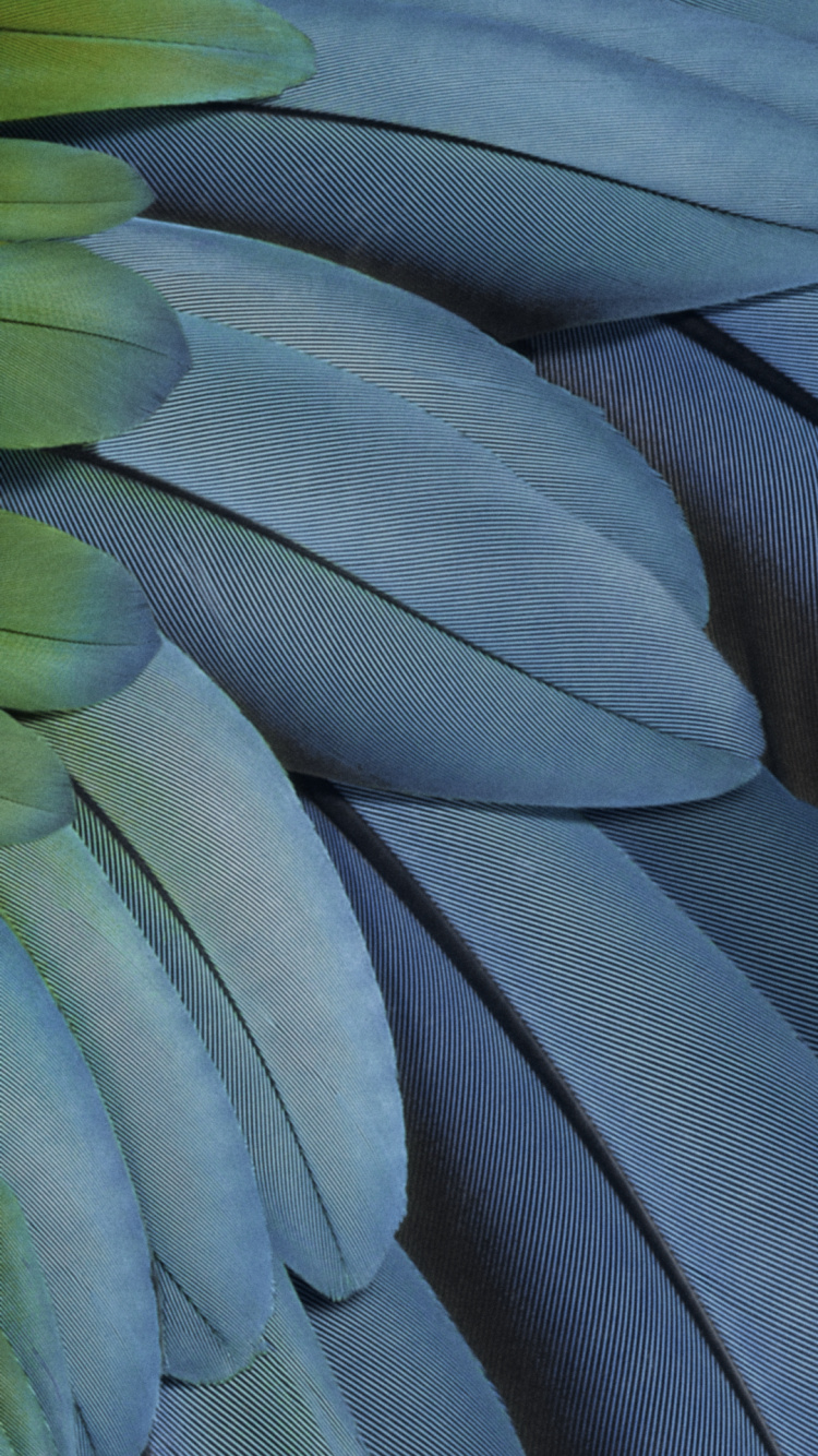 Píxel 7, Pliegue de Píxeles, Google, Fhd, Píxel 7 Un. Wallpaper in 750x1334 Resolution