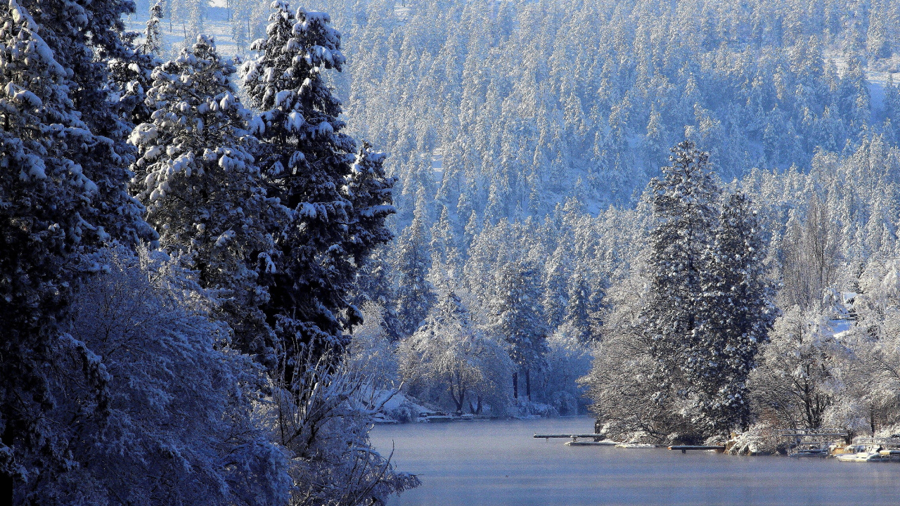 Snow Covered Trees Near Lake During Daytime. Wallpaper in 1280x720 Resolution