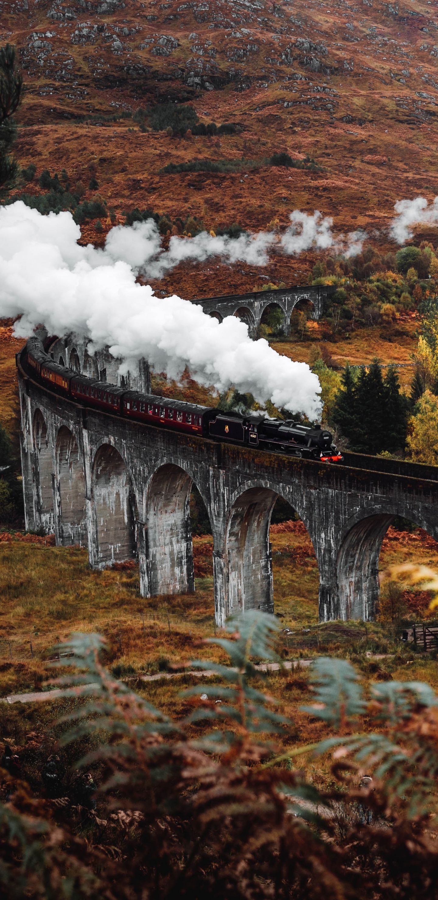 Harry Potter Automne, Harry Potter, Affiche, Paysage Naturel, Highland. Wallpaper in 1440x2960 Resolution