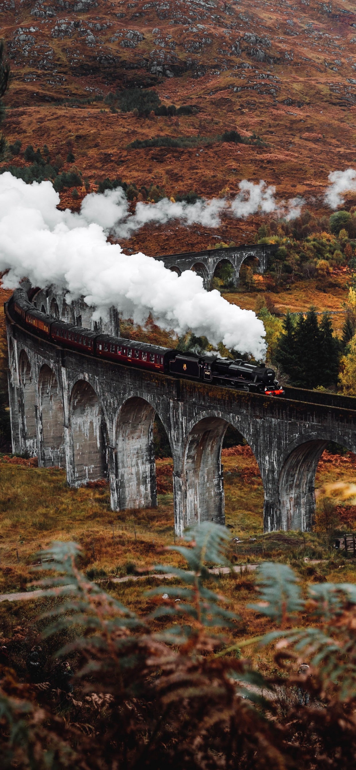 Harry Potter Autumn, Harry Potter, Autumn, Poster, Wizarding World. Wallpaper in 1242x2688 Resolution