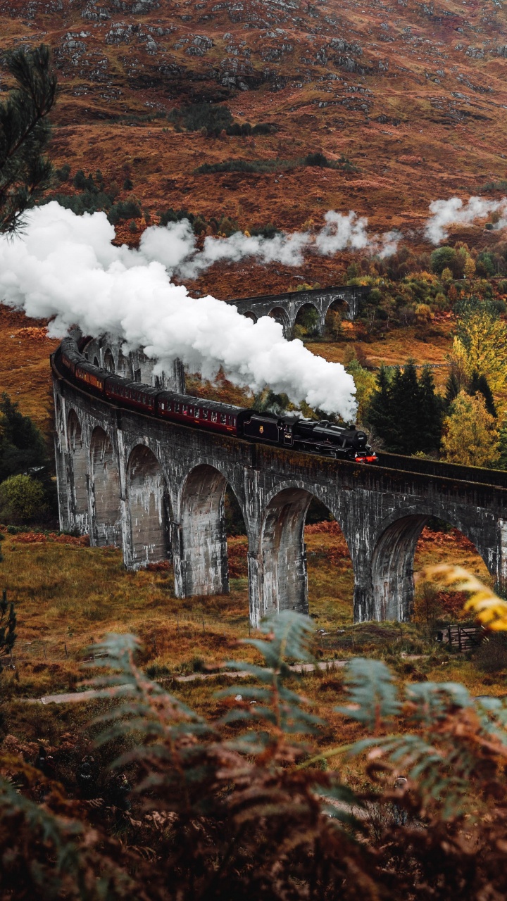 Harry Potter Autumn, Harry Potter, Autumn, Poster, Wizarding World. Wallpaper in 720x1280 Resolution