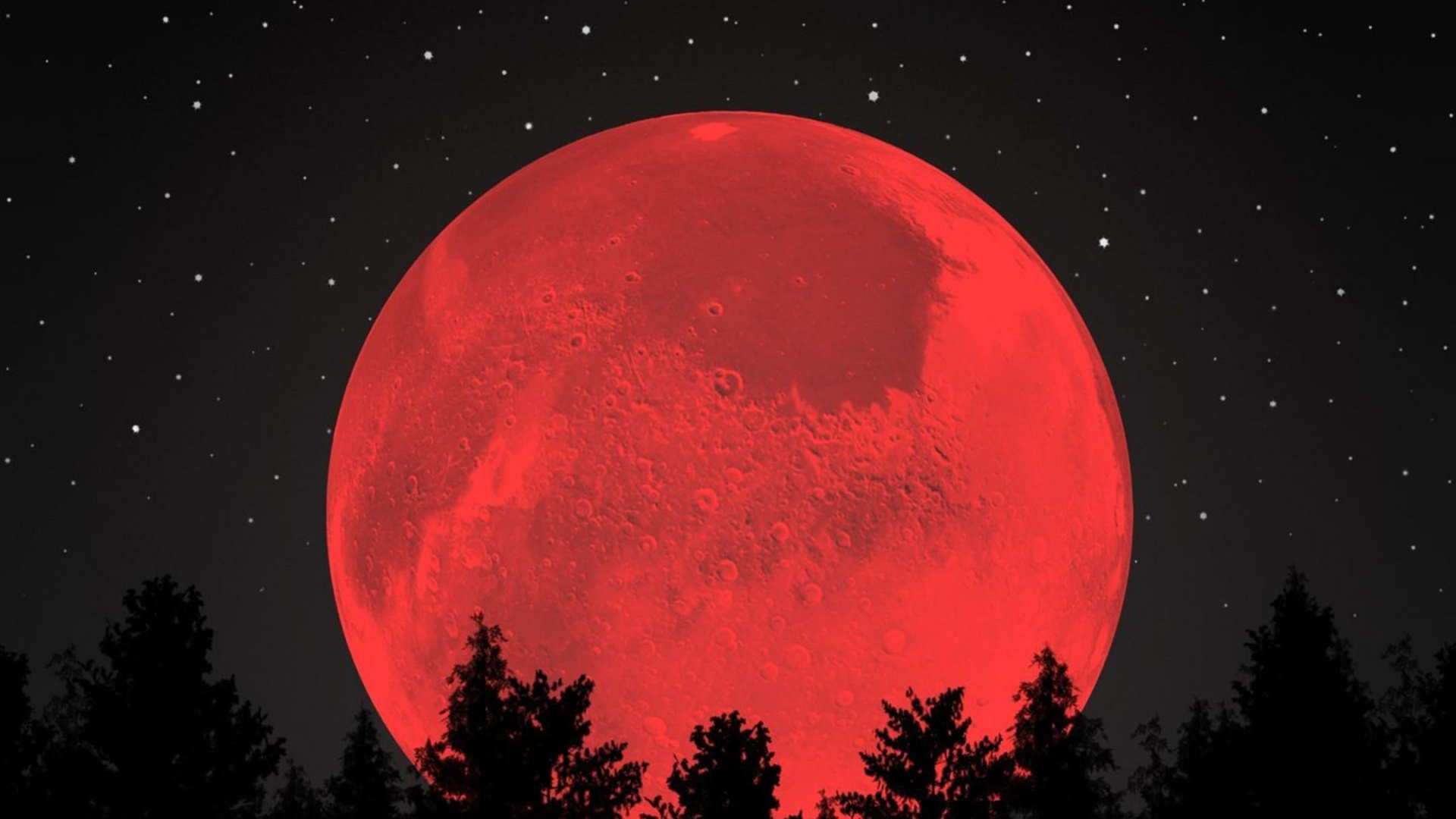 Sky Walk, Atmosphere, World, Natural Landscape, Tree. Wallpaper in 1920x1080 Resolution