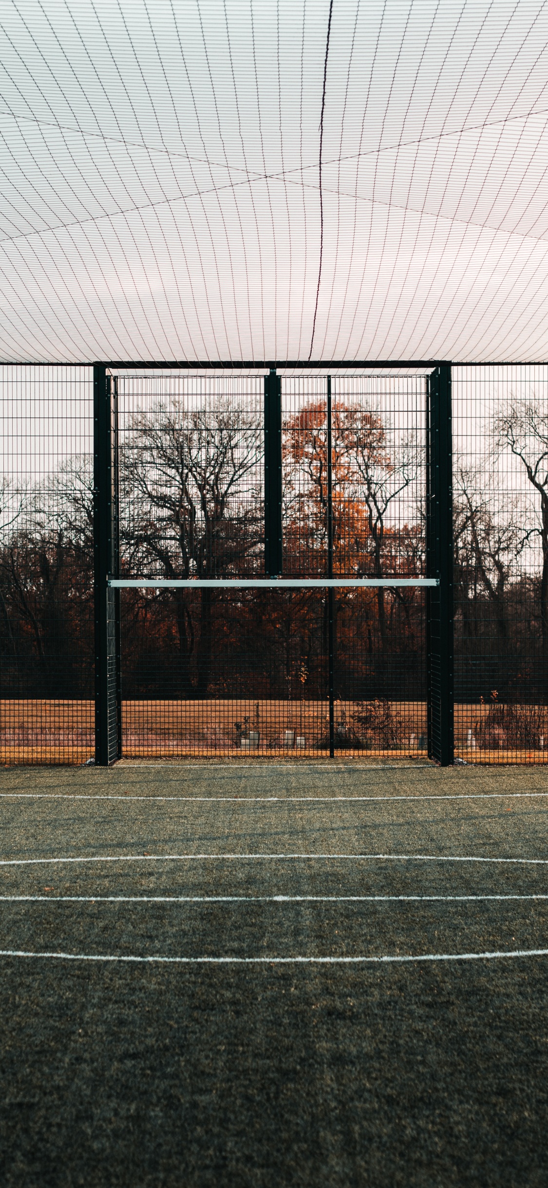 Black Metal Frame Glass Window. Wallpaper in 1125x2436 Resolution