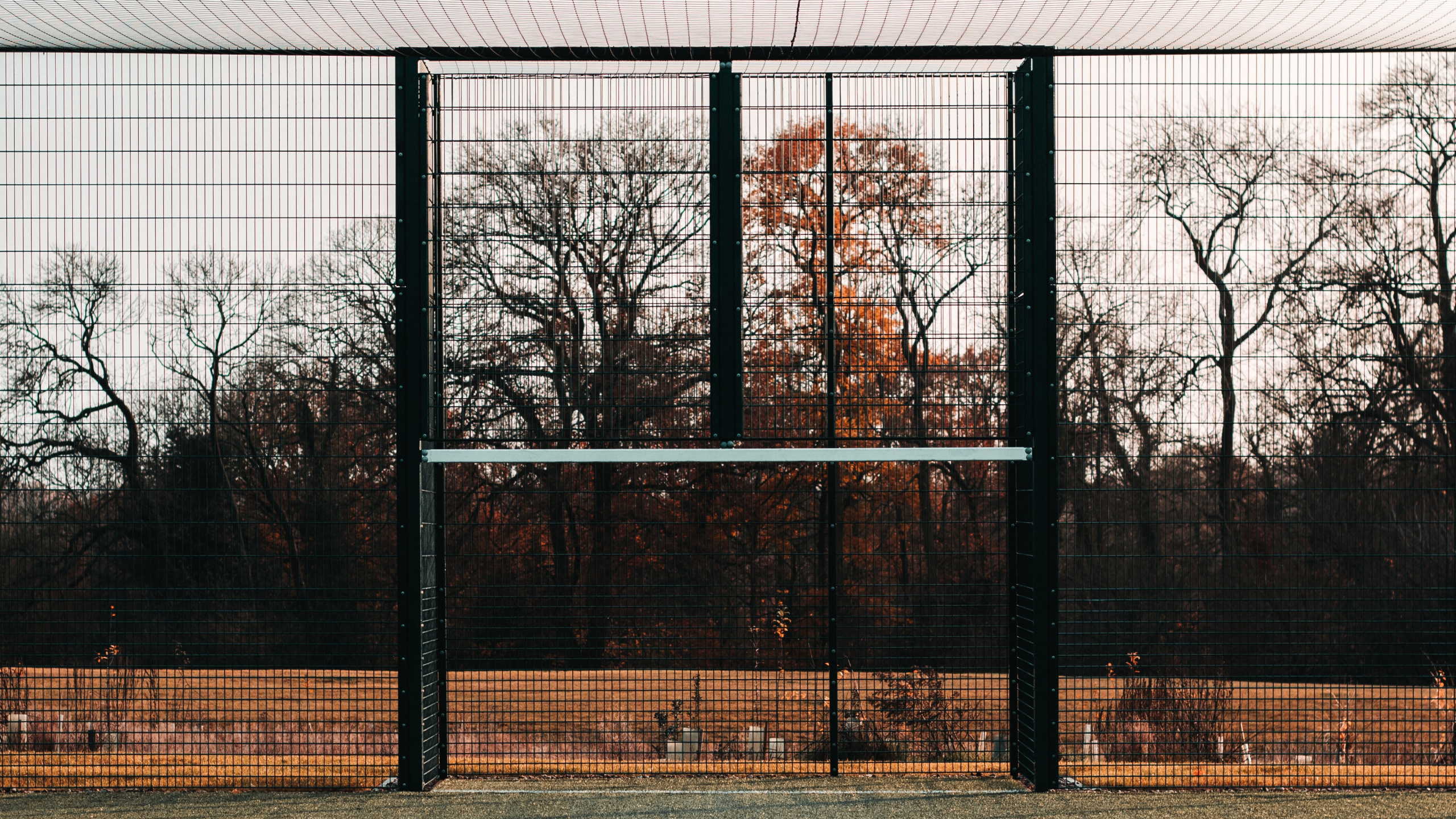 Black Metal Frame Glass Window. Wallpaper in 2560x1440 Resolution