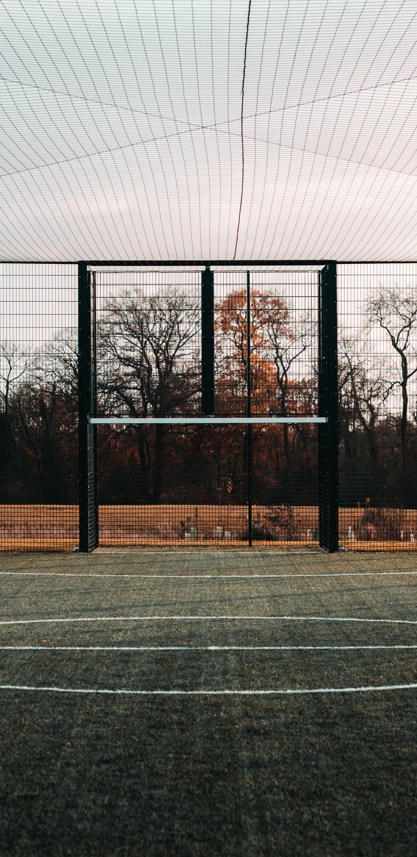 Ventana de Vidrio Con Marco de Metal Negro. Wallpaper in 1440x2960 Resolution