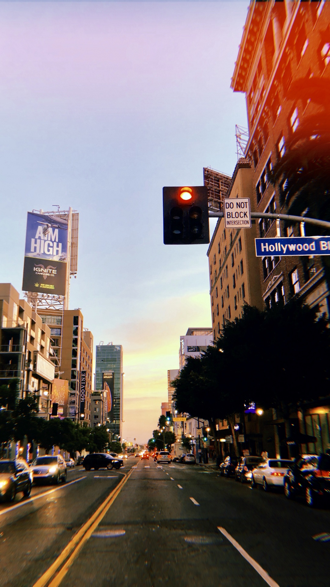 King, Road, Infrastructure, Neighbourhood, Street. Wallpaper in 1080x1920 Resolution