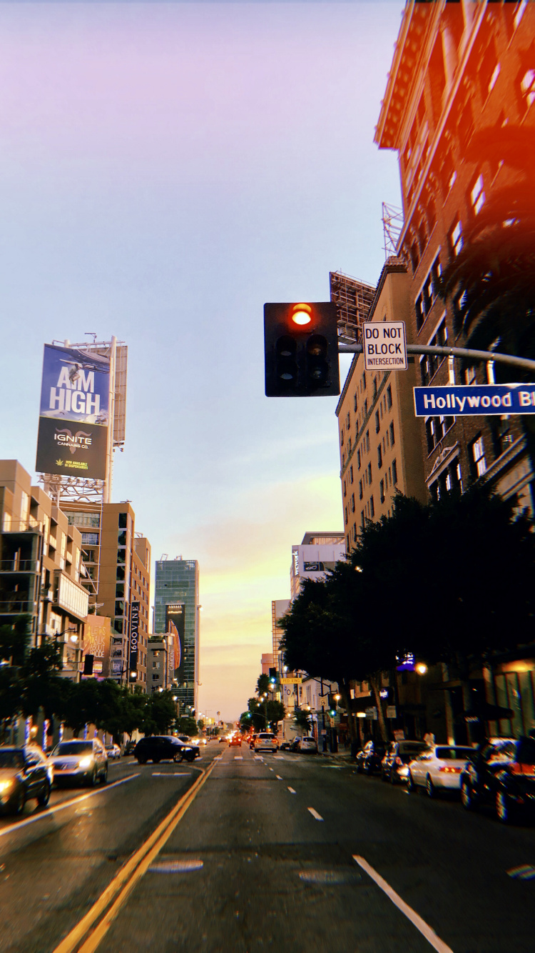 King, Road, Infrastructure, Neighbourhood, Street. Wallpaper in 750x1334 Resolution