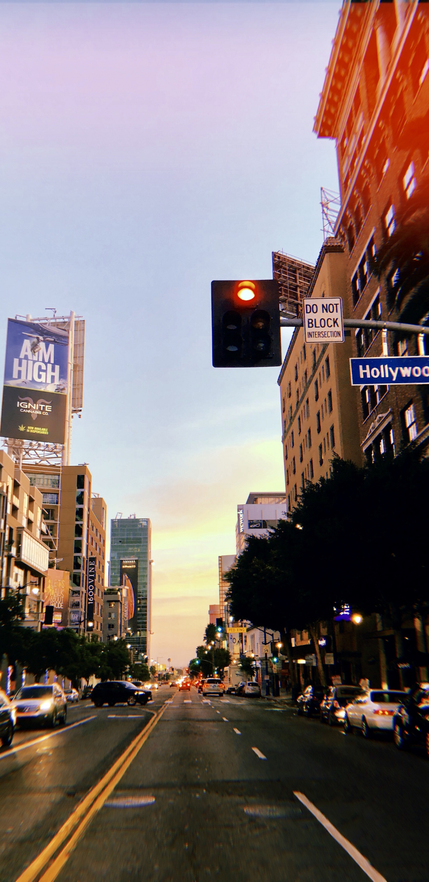 Rey, Carretera, Infraestructura, Barrio, la Superficie de la Carretera. Wallpaper in 1440x2960 Resolution