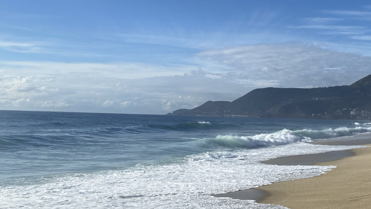 Meer, Wasser, Cloud, Strand, Baum. Wallpaper in 1280x720 Resolution