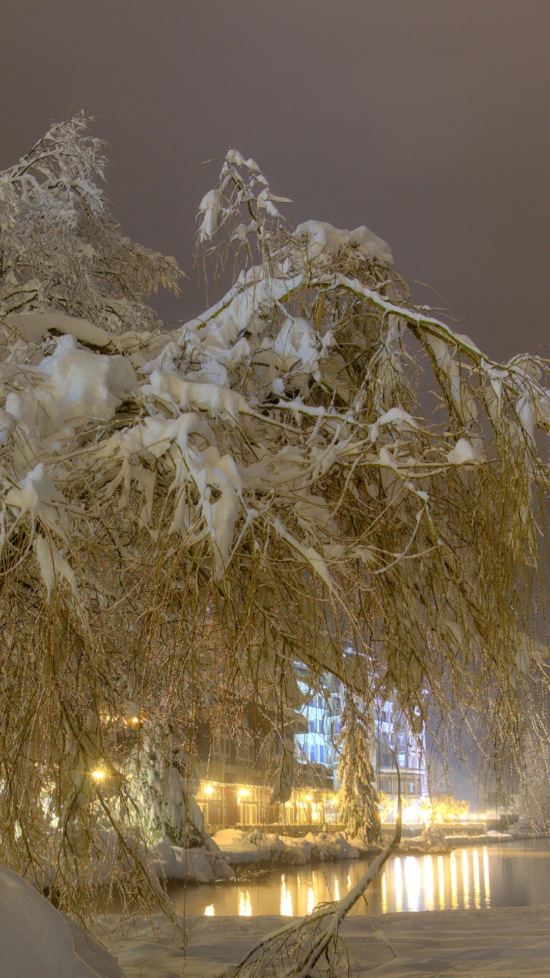 White Tree Near Body of Water During Daytime. Wallpaper in 1080x1920 Resolution