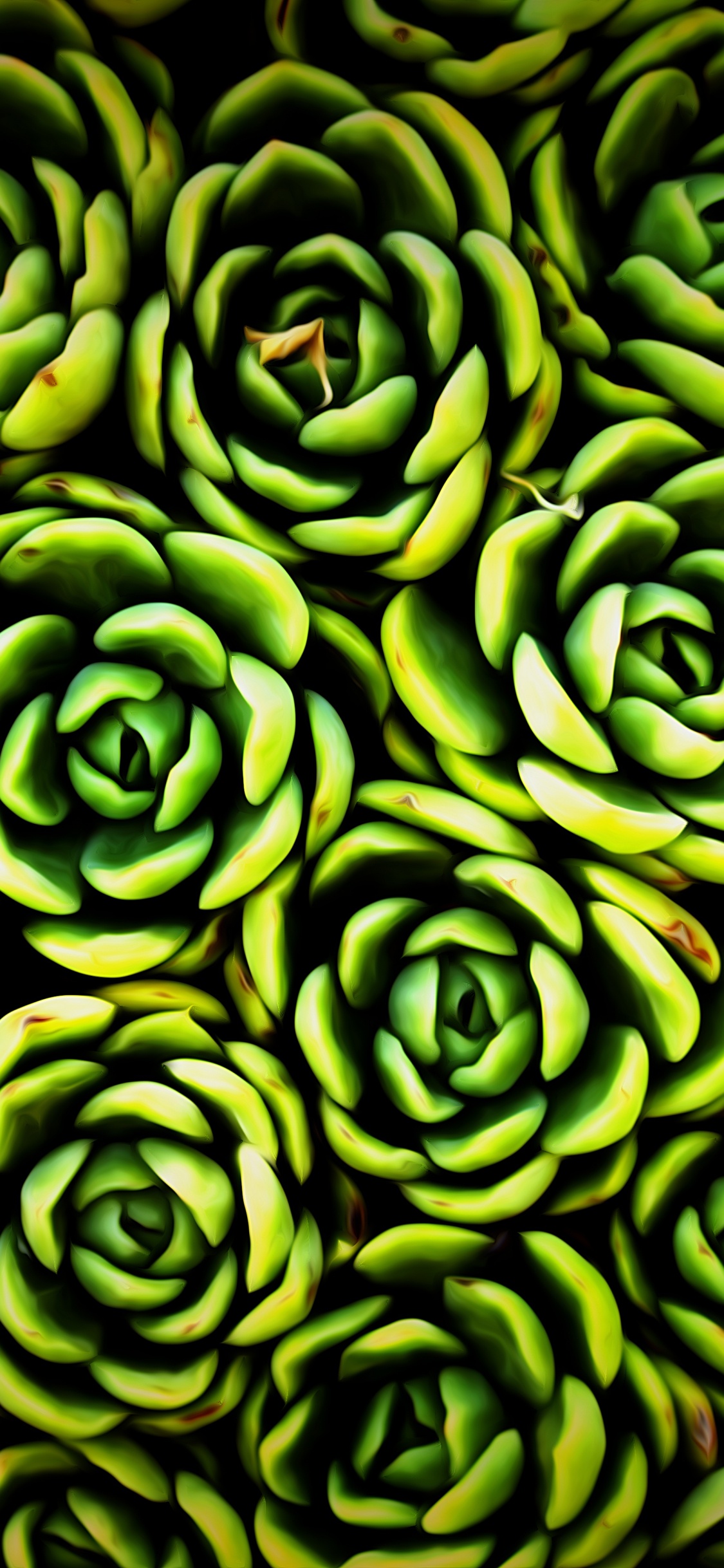 Green Succulent Plant in Close up Photography. Wallpaper in 1125x2436 Resolution