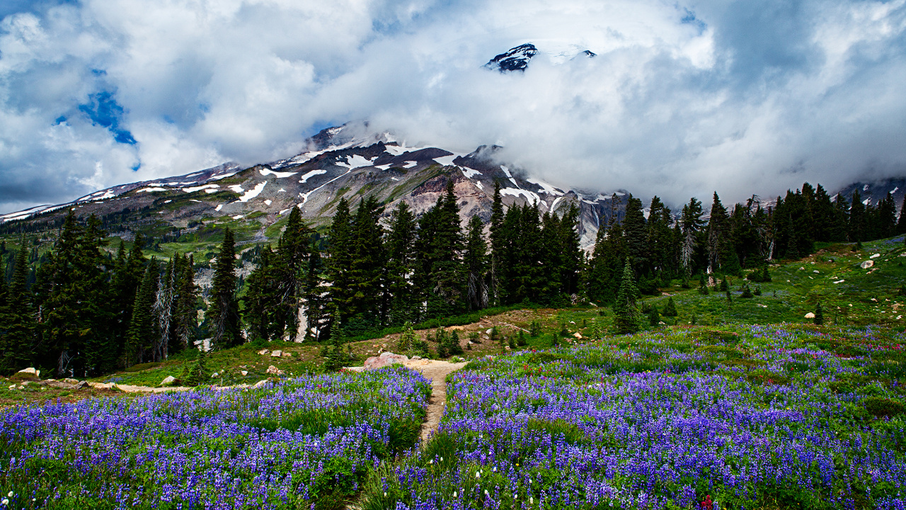 Green Grass Field Near Green Trees and Mountain Under White Clouds During Daytime. Wallpaper in 1280x720 Resolution