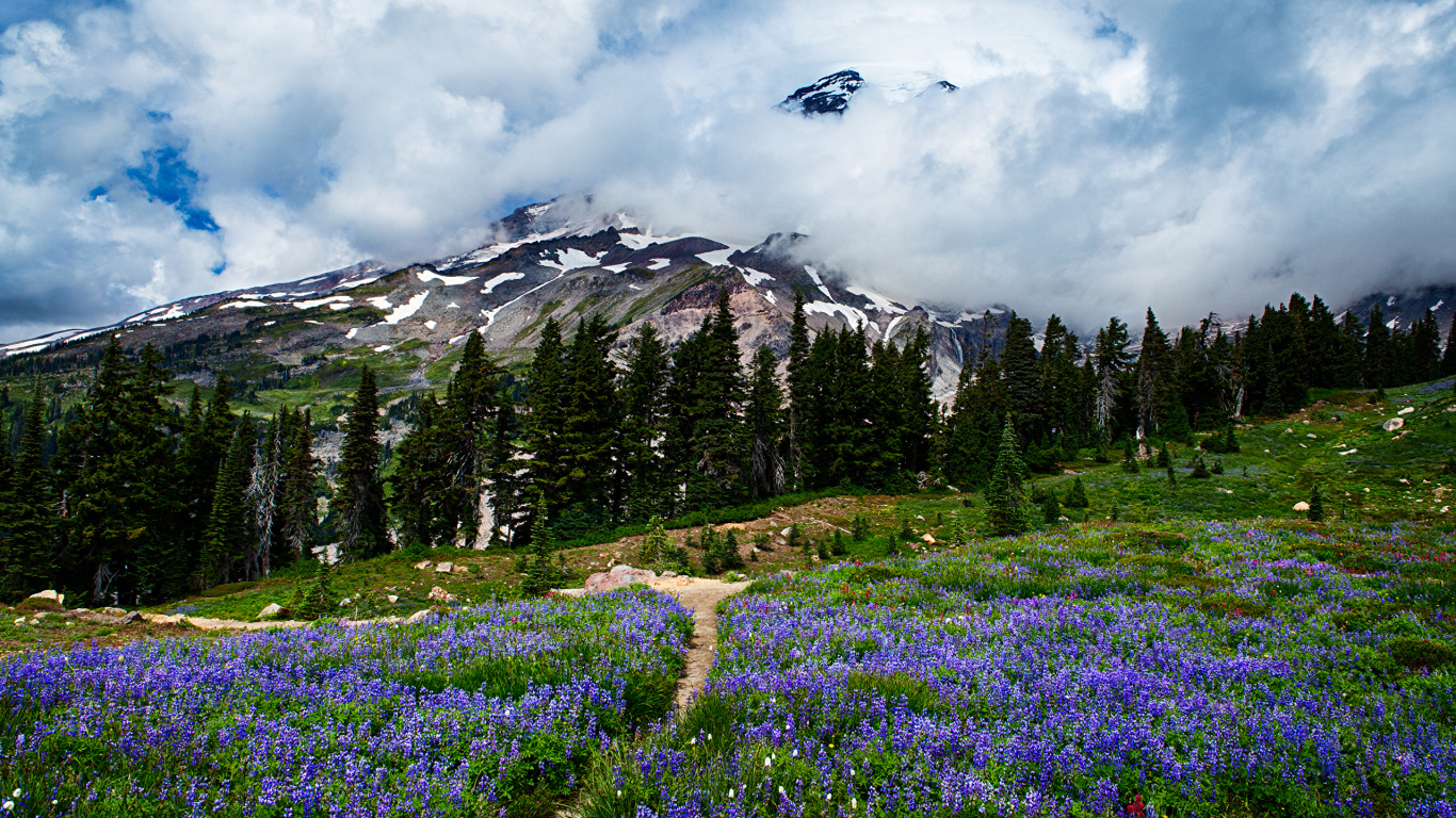 Green Grass Field Near Green Trees and Mountain Under White Clouds During Daytime. Wallpaper in 1366x768 Resolution