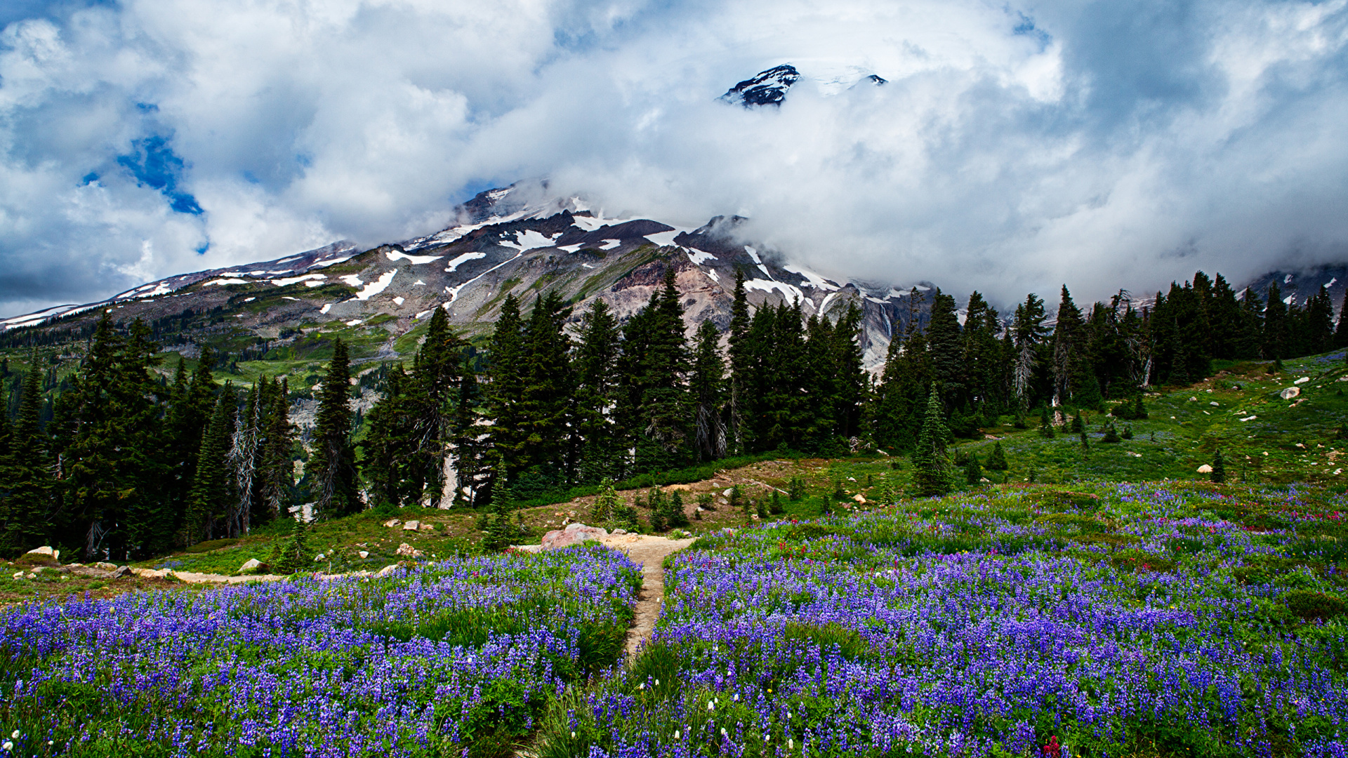 Green Grass Field Near Green Trees and Mountain Under White Clouds During Daytime. Wallpaper in 1920x1080 Resolution