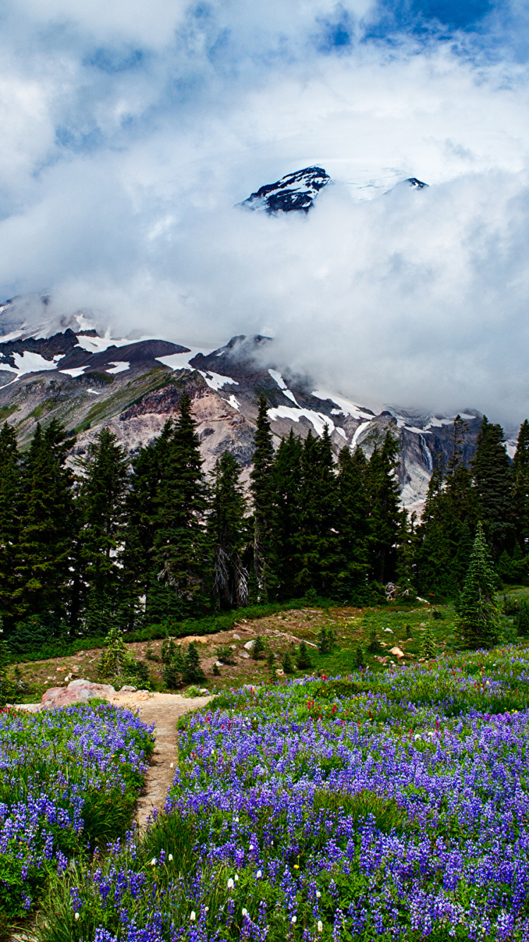Green Grass Field Near Green Trees and Mountain Under White Clouds During Daytime. Wallpaper in 750x1334 Resolution