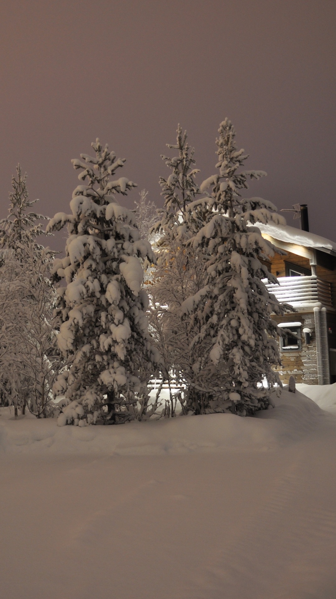 Snow Covered Trees and House During Night Time. Wallpaper in 1080x1920 Resolution