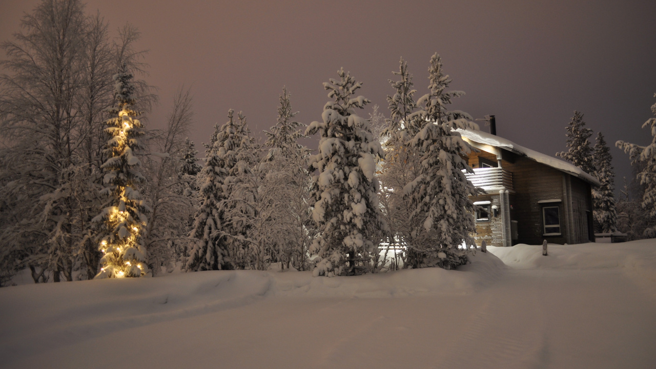 Snow Covered Trees and House During Night Time. Wallpaper in 1280x720 Resolution