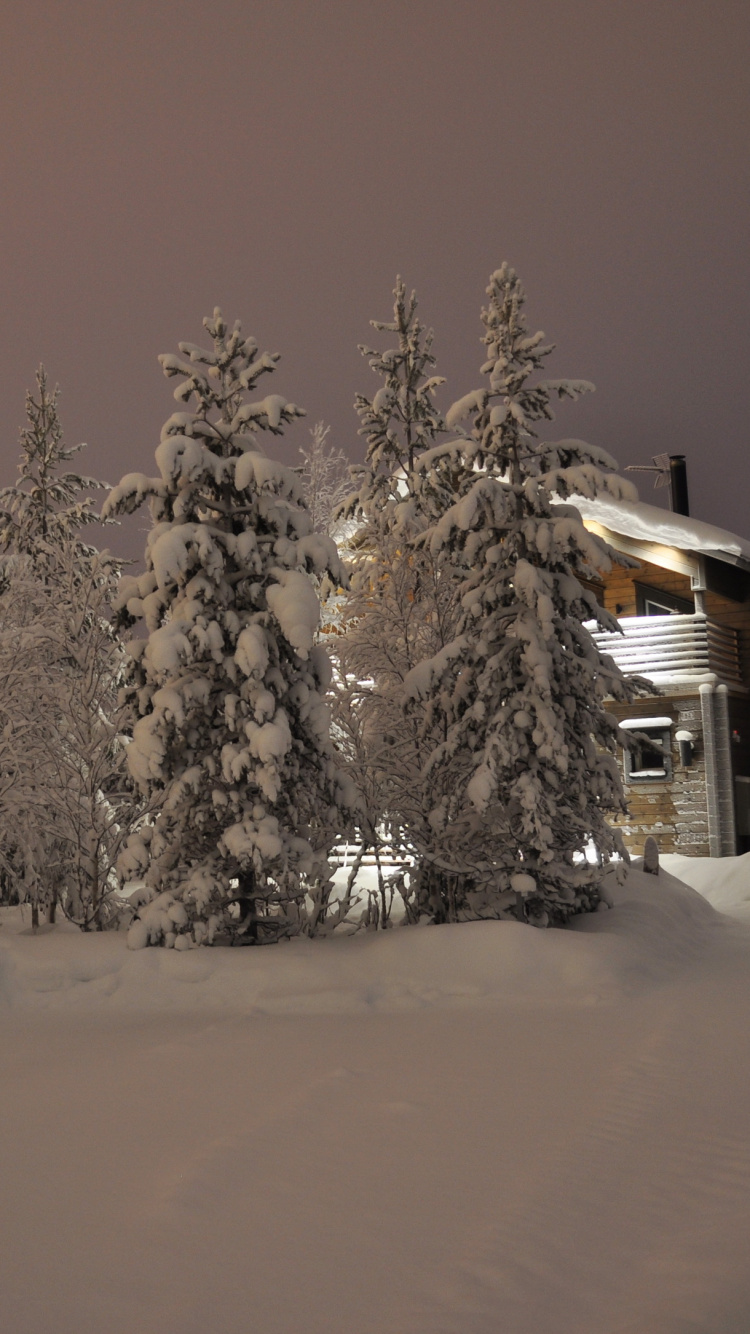 Schneebedeckte Bäume Und Haus Während Der Nacht. Wallpaper in 750x1334 Resolution