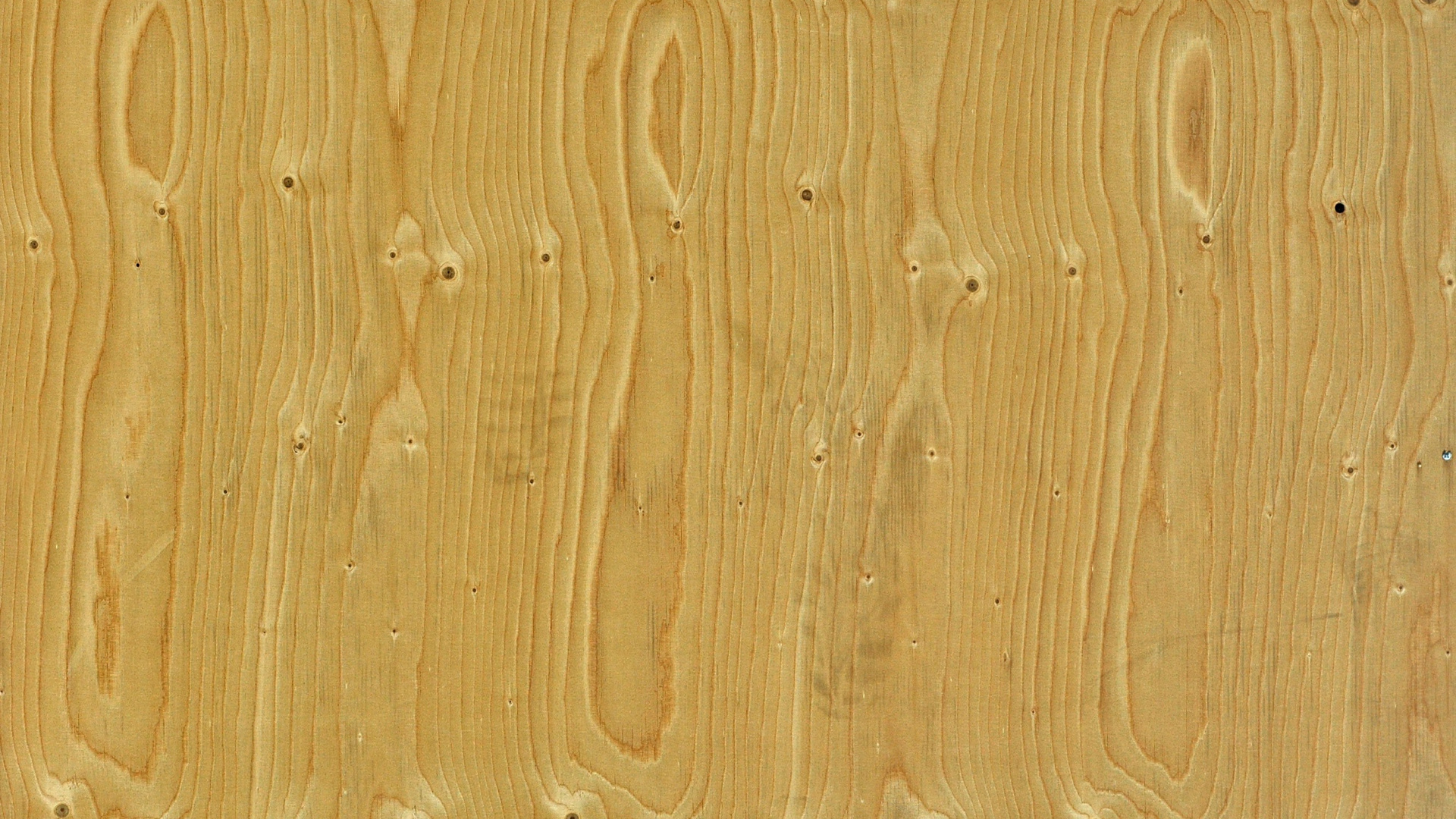 木板, 木染色, 硬木, 木, 胶合板 壁纸 1920x1080 允许
