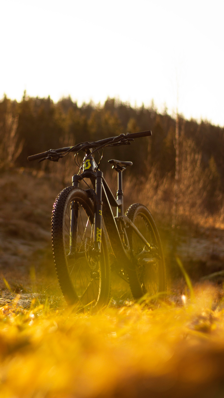 Black Mountain Bike on Green Grass Field During Daytime. Wallpaper in 750x1334 Resolution