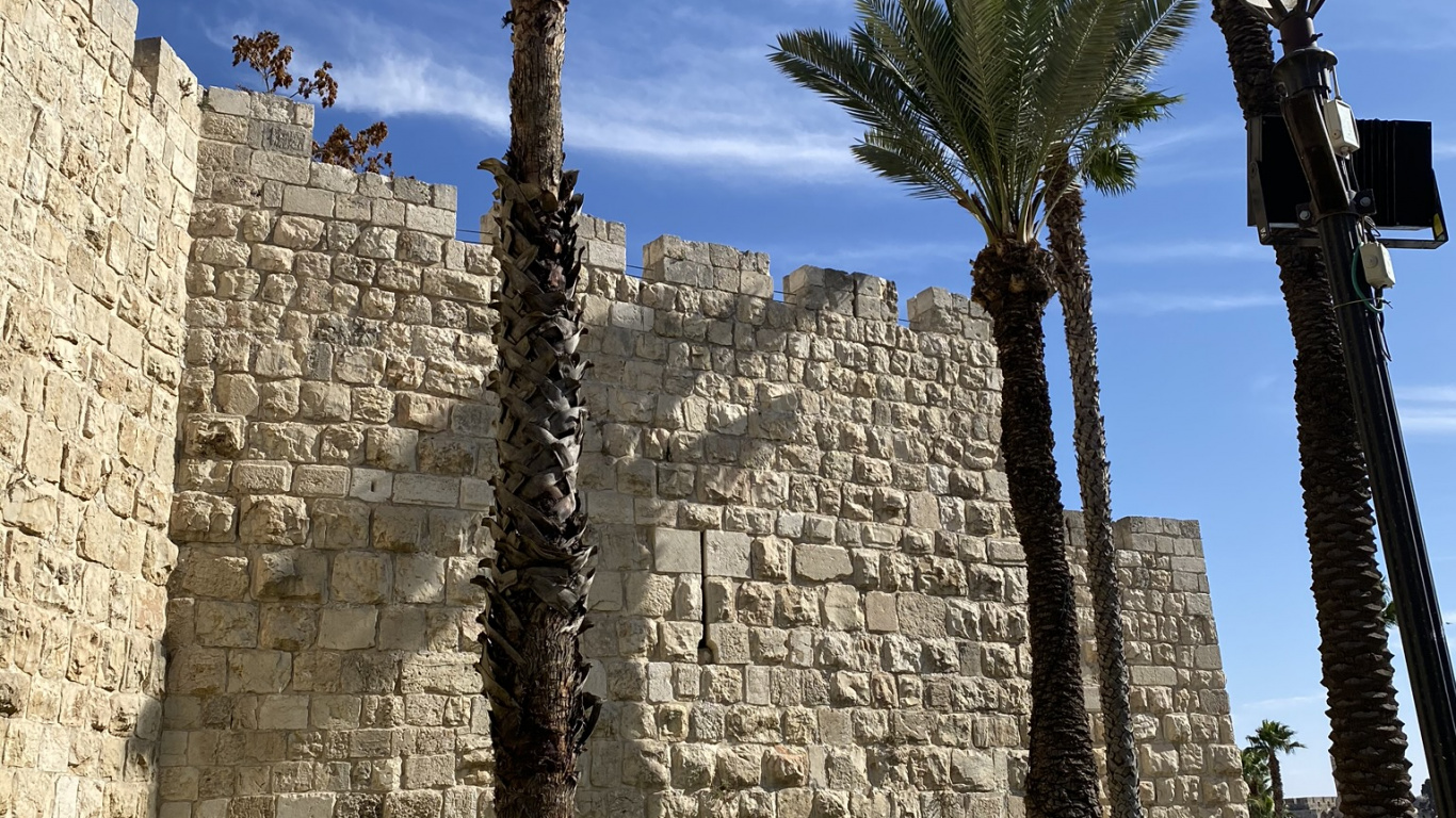 Palmera, Fecha de la Palma, la Historia Antigua, Planta Leñosa, Muro de Piedra. Wallpaper in 1366x768 Resolution