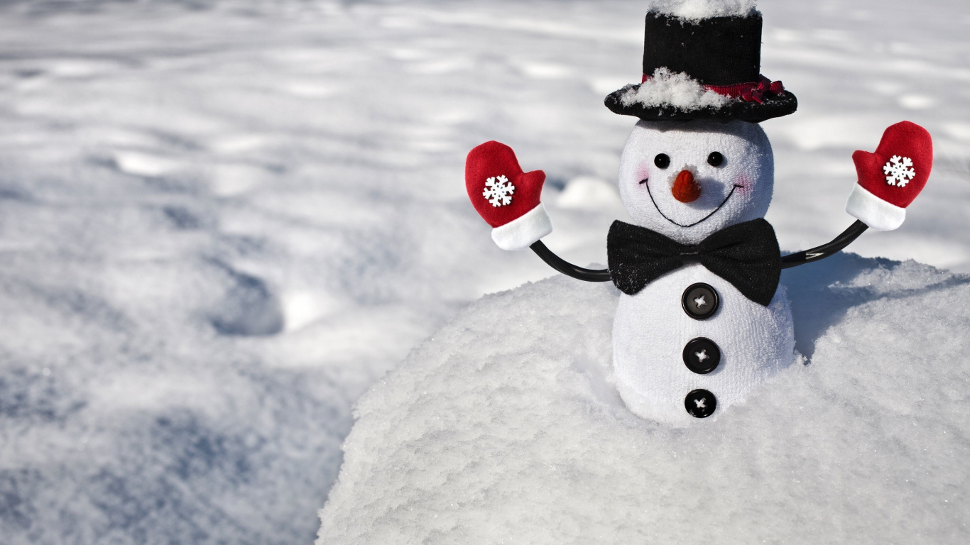 Bonhomme de Neige Avec Chapeau Rouge et Noir Sur Sol Couvert de Neige. Wallpaper in 1366x768 Resolution