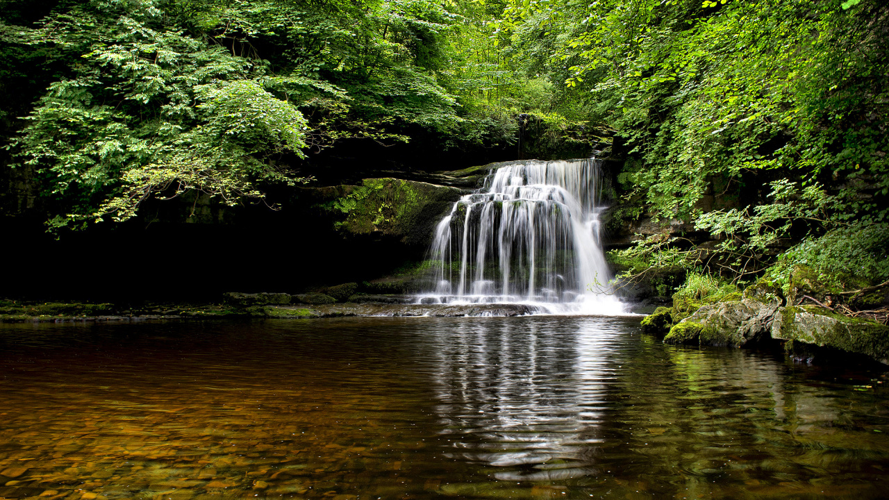 Waterfalls in The Middle of Green Trees. Wallpaper in 1280x720 Resolution