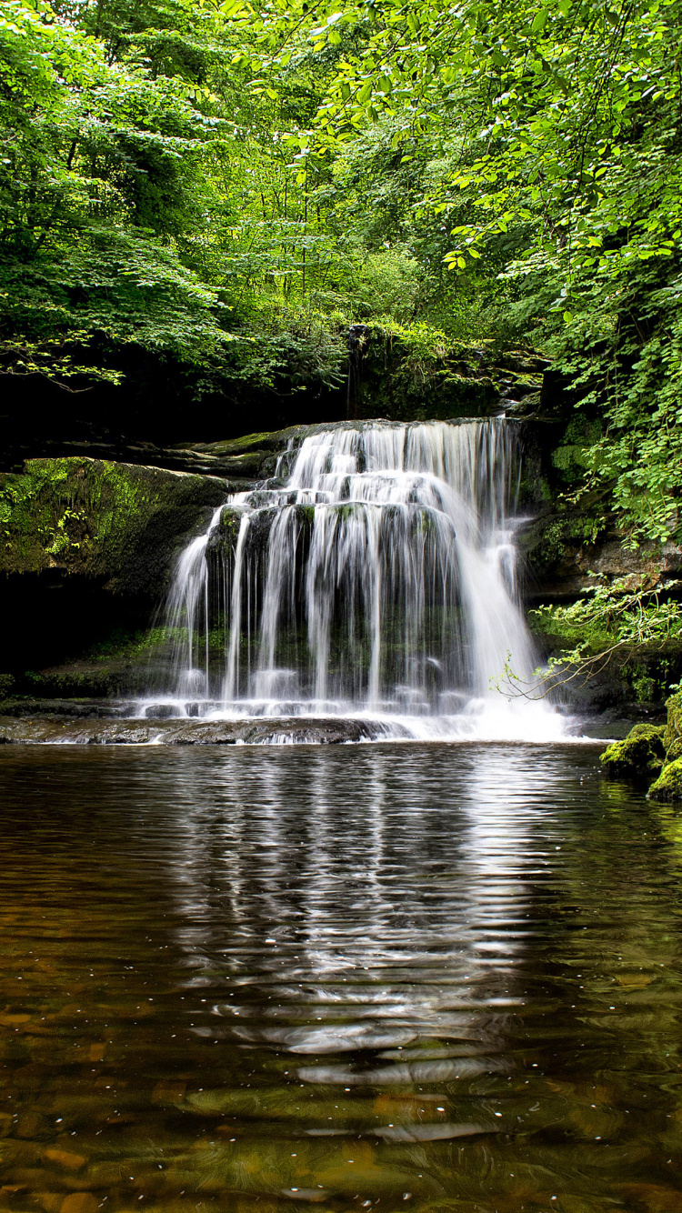 Cascades au Milieu Des Arbres Verts. Wallpaper in 750x1334 Resolution