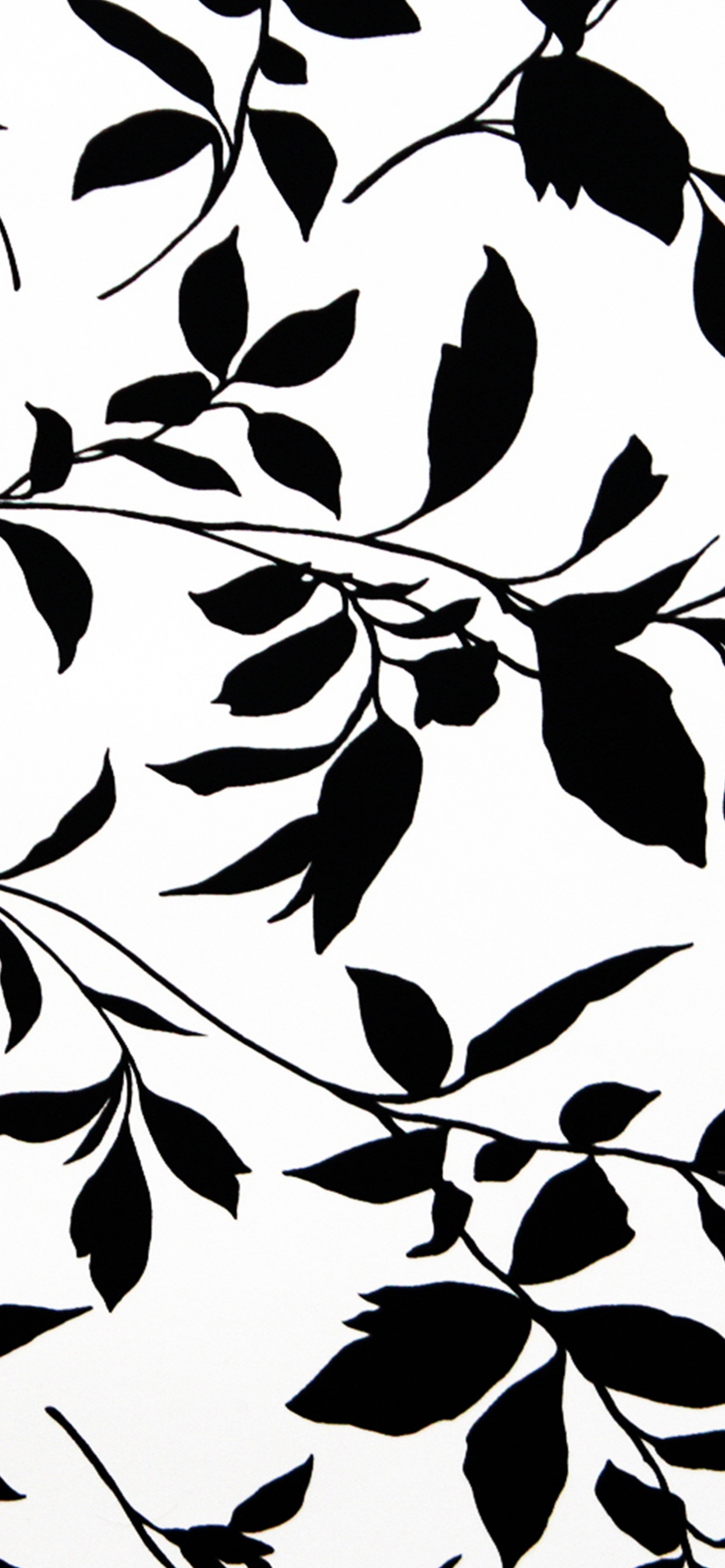 Weißes Und Schwarzes Florales Textil. Wallpaper in 1242x2688 Resolution