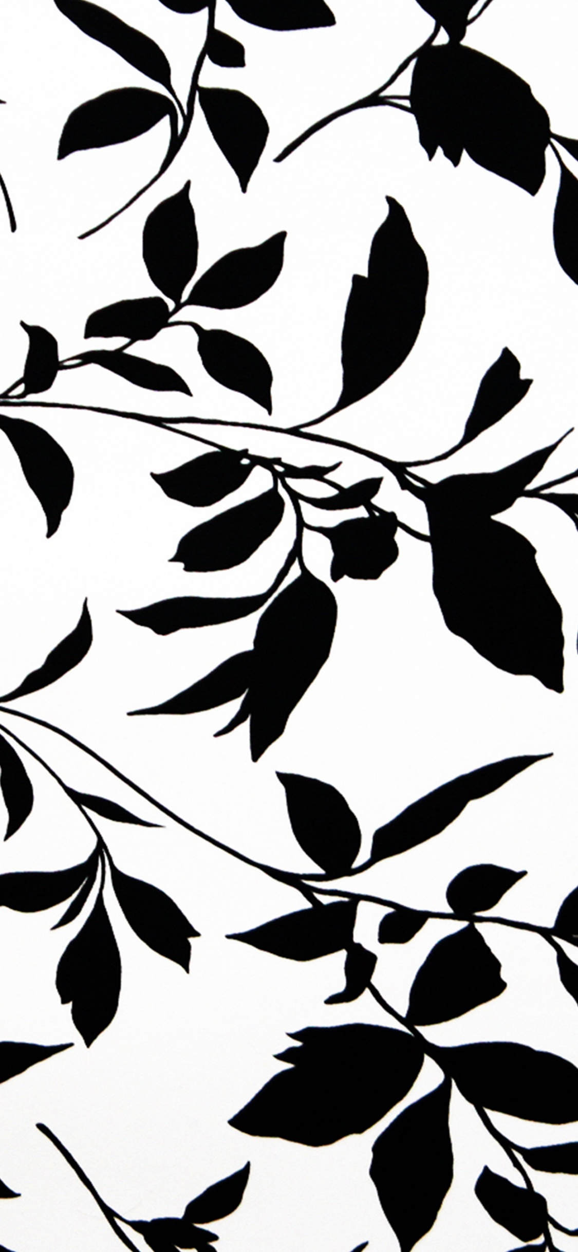 White and Black Floral Textile. Wallpaper in 1125x2436 Resolution