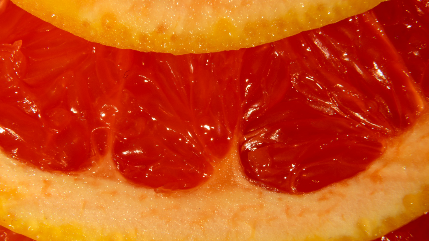 Chittorgarh Fort, Grapefruit Juice, Clementine, Blood Orange, Juice. Wallpaper in 1366x768 Resolution