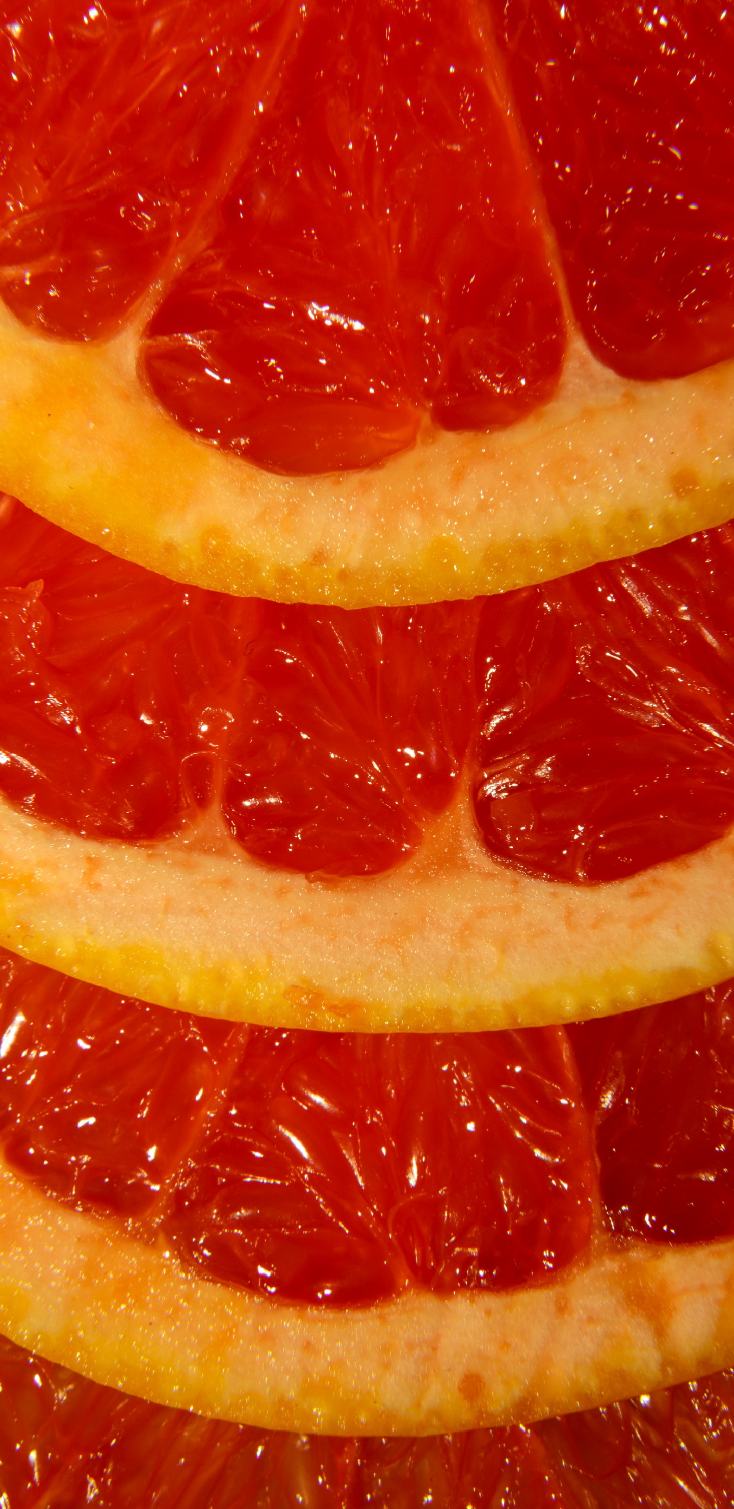 Chittorgarh Fort, Grapefruit Juice, Clementine, Blood Orange, Juice. Wallpaper in 1440x2960 Resolution