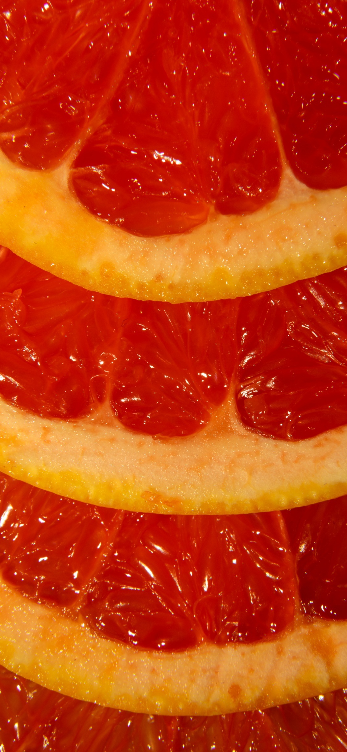 Fuerte de Chittorgarh, Jugo de Uva, Clementine, Naranja Sanguina, Jugo. Wallpaper in 1125x2436 Resolution